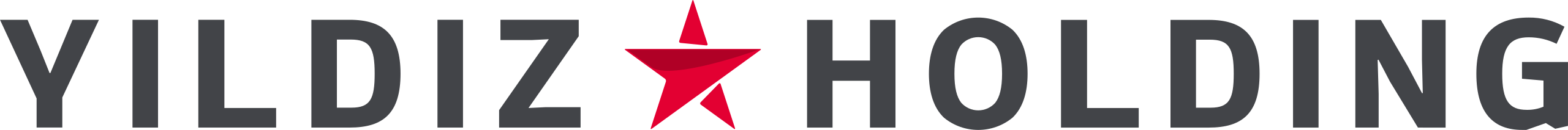 Yıldız Holding Logo